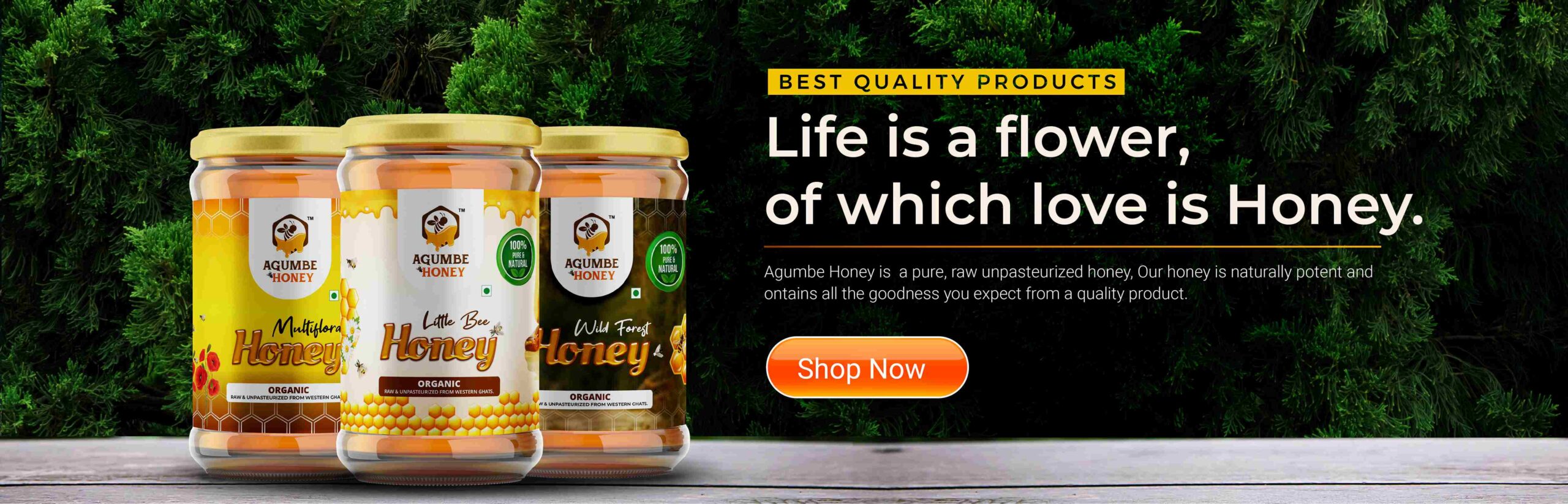 Agumbe-Honey-bg